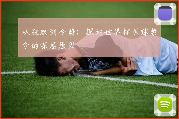 从狂欢到冷静：探讨世界杯买球禁令的深层原因