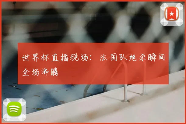 世界杯直播现场:法国队绝杀瞬间全场沸腾