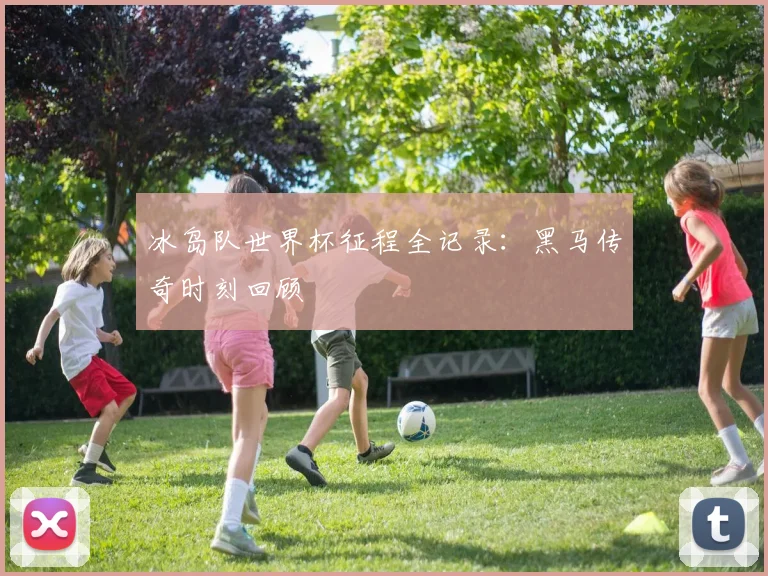 冰岛队世界杯征程全记录:黑马传奇时刻回顾