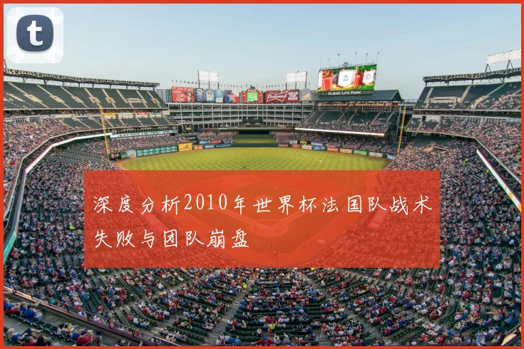 深度分析2010年世界杯法国队战术失败与团队崩盘