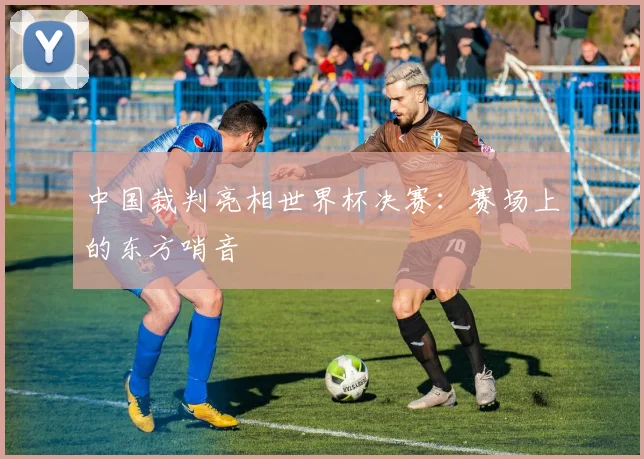 中国裁判亮相世界杯决赛:赛场上的东方哨音